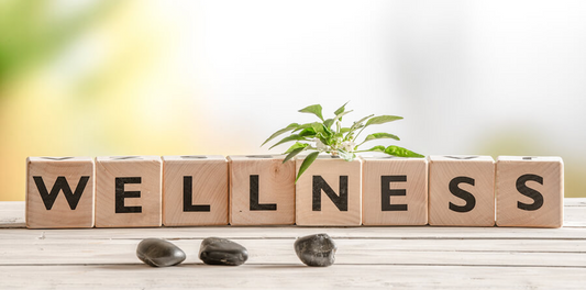 Starting a wellness business